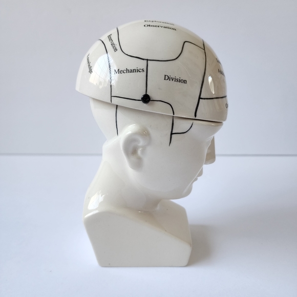 Phrenology Head ceramic porcelain medical terms decor - Picture 2 of 9